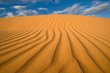 Kalahari Desert, Kgalagadi Transfrontier Park, South Africa