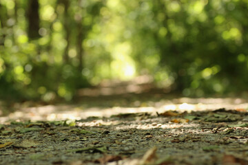 Path into the Distance