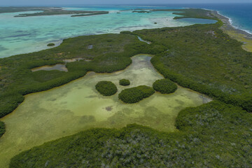 Aerial Landscape mangrove forest surrounded by blue water in Caribbean island in Los Roques Venezuela