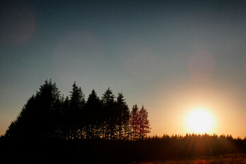 Fototapeta premium coucher soleil