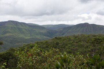 landscape with trees and clouds