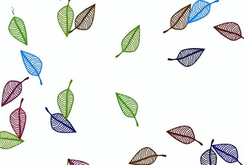 Light Multicolor, Rainbow vector doodle layout.