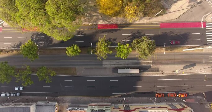 Avenida Curitiba . Pres. Affonso Camargo - Jardim Bot&acirc;nico