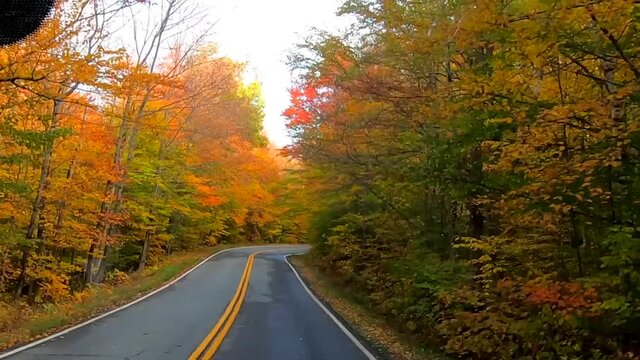 TimeLapse - Driving Under Trees and Around Curves in Full Color During Fall in Vermont.