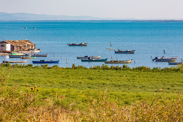 Söke, Didim, Izmir, Turkey