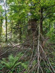 Obraz premium Hochsitz am Waldrand