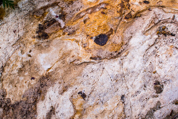 Bright colors in the whole picture without vignetting of the structure of the surface of the Stone. The idea for texture background. Natural rocks closeup shot.