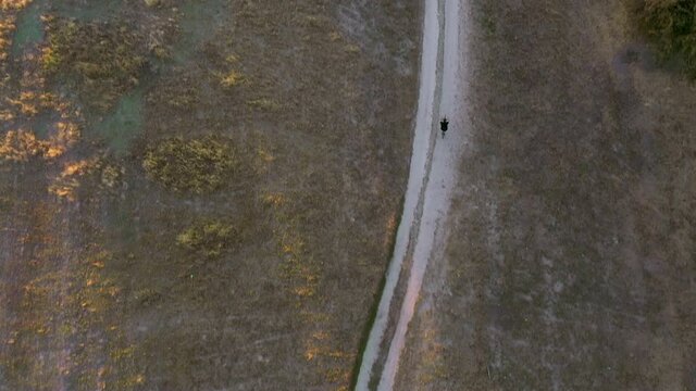 Aerial view of cyclist riding fast along a winding dirt road in a field at golden hour. Drone view.
