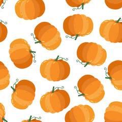 Seamless pattern with pumpkin on white background. Cartoon vector illustration for Harvest festival or Thanksgiving day. Repeating print.