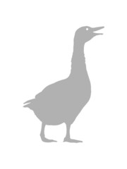 Silhouette Lachende Gans 