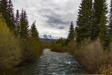 Stream with mountain background
