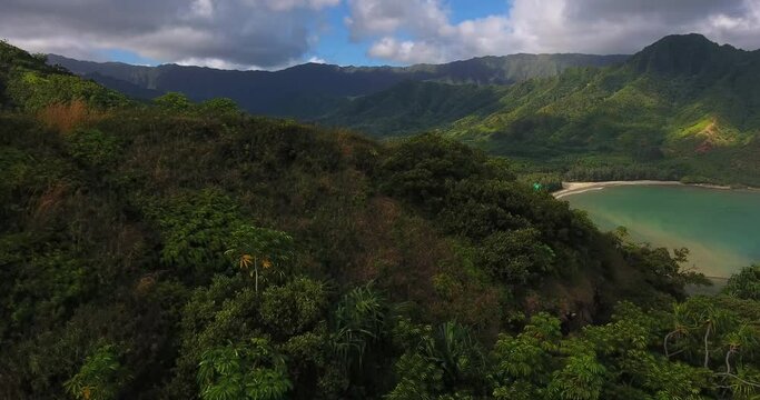 Man hiking along Hawaii coast in Ho'omaluhia botanical garden, wide aerial