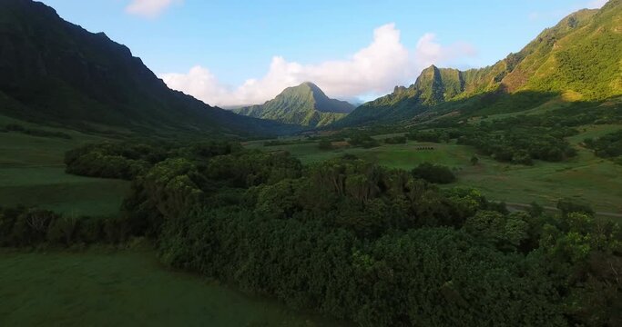 Wide aerial, Ho'omaluhia botanical garden in rural Hawaii
