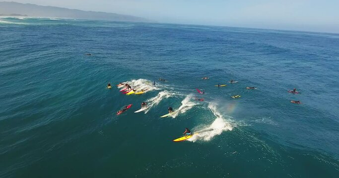 Large crowd of surfers catch wave in Hawaii, aerial