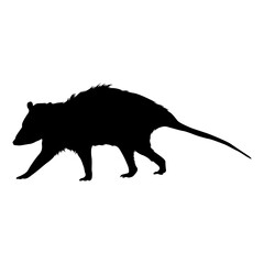 Walking Possum Silhouette. Good To Use For Element Print Book, Animal Book and Animal Content