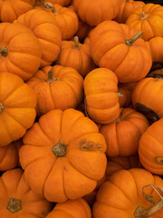 Grupo de varias calabazas mini naranjas vista de cerca