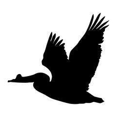 Pelican Birds (Pelecanus Occidentalis) Flying On a Side View Silhouette Found In Map Of Ocean All Around The World. Good To Use For Element Print Book, Animal Book and Animal Content