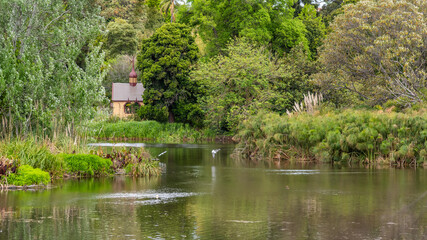 Fototapeta na wymiar Diversity of nature at the Melbourne Botanical Gardens