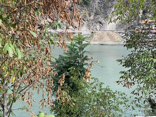 river water seen through trees