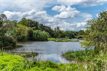 Fototapeta na wymiar Diversity of nature at the Melbourne Botanical Gardens