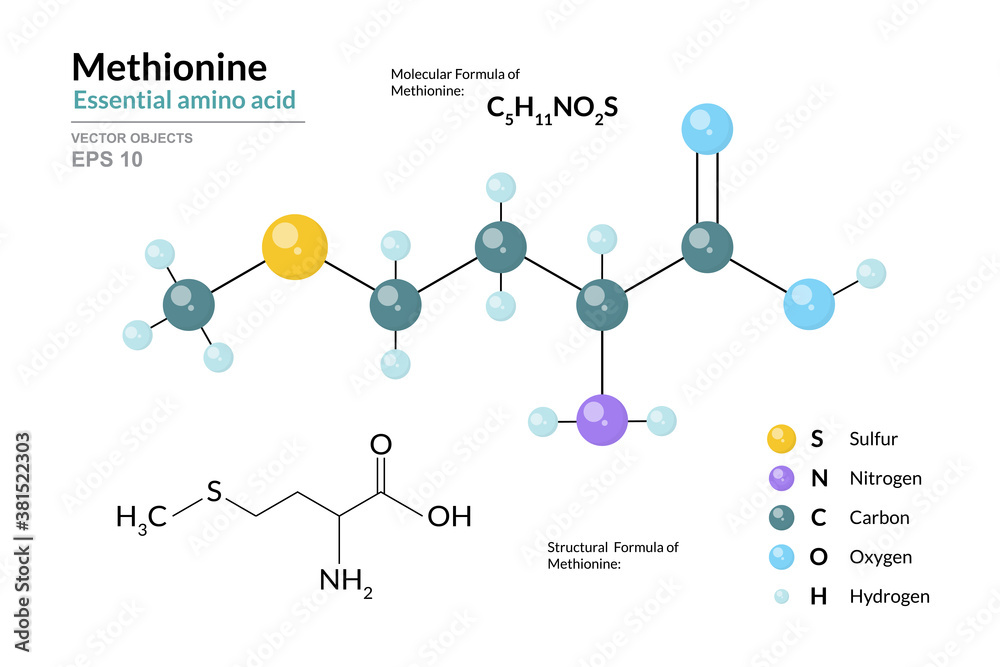 Sticker Methionine. Met C5H11NO2S. Essential Amino Acid. Structural Chemical Formula and Molecule 3d Model. Atoms with Color Coding. Vector Illustration