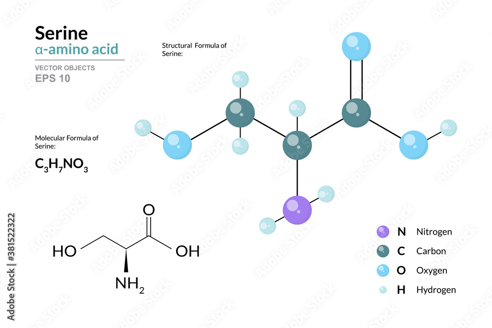 Poster serine. ser c3h7no3. α-amino acid. structural chemical formula and molecule 3d model. atoms with col