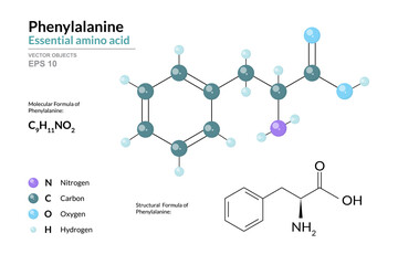 Phenylalanine. Phe C9H11NO2. α-Amino Acid. Structural Chemical Formula and Molecule 3d Model. Atoms with Color Coding. Vector Illustration