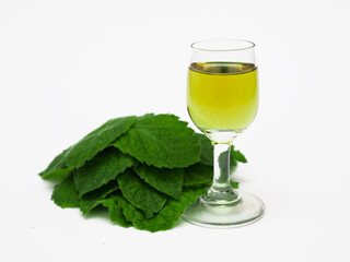 Lemon balm liqueur