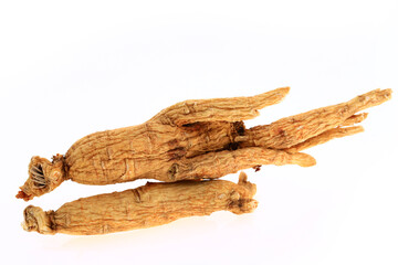 Ginseng on a white background