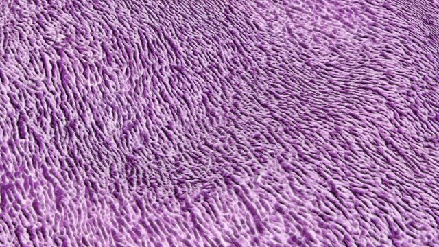 background of swaying purple terry cloth with stripes. 3d render