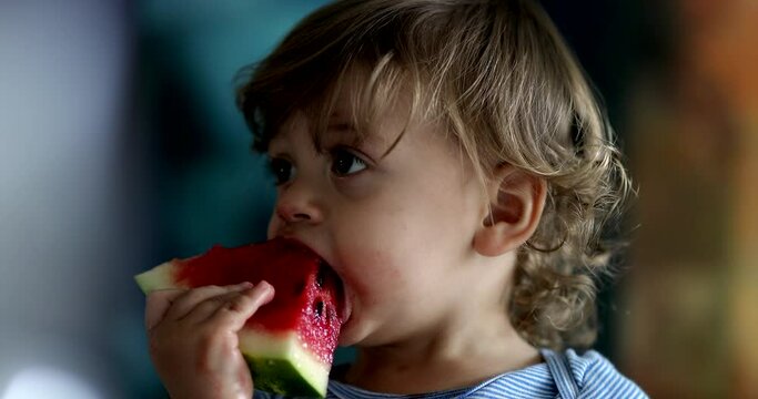 Cute baby toddler boy eating watermelon fruit