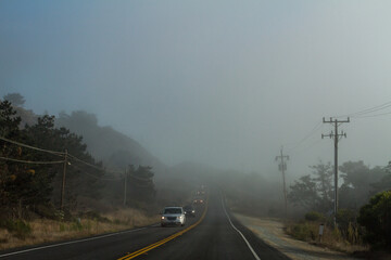 fog on the road