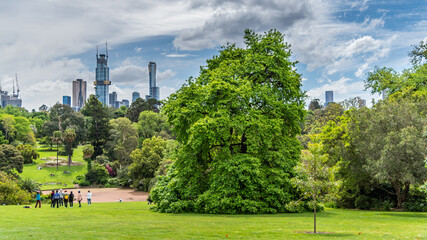 Naklejka premium Beautiful park lands and lakes at the Melbourne Botanical Gardens.