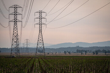 power lines in the field