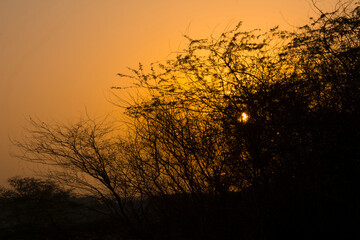 Obraz premium Sunrise