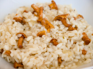Risotto with chanterelle mushrooms