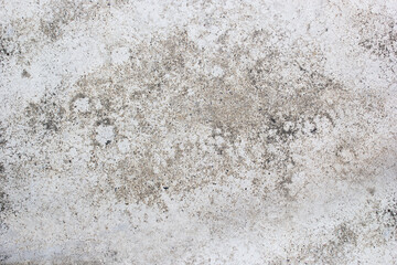 Obraz premium horizontal white cement and concrete texture for pattern and background. 