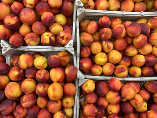 natural background nectarines in boxes, selective focus