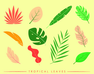 set of leaves