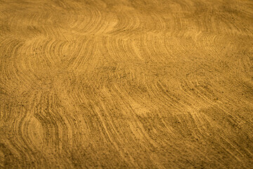 Gold wall treated with textured Rough plaster