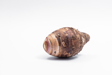 Taro fruit that has not been peeled separately  isolated on white background