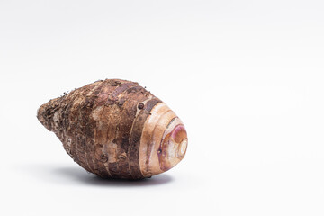 Taro fruit that has not been peeled separately  isolated on white background