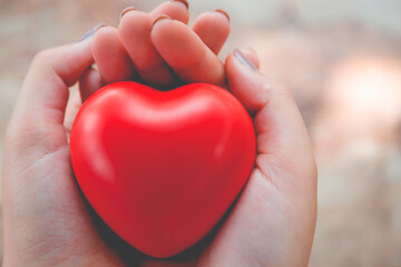 Woman hold red heart  nature background