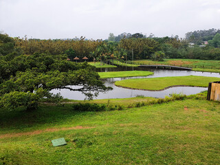 course in the morning