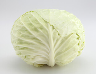 cabbage isolated on white