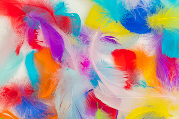 Many colorful feather texture