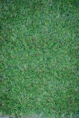 Green artificial grass floor nature
