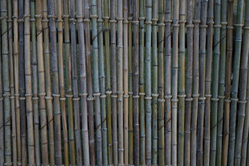 Bamboo Fence - Close up