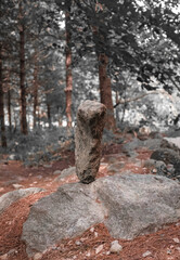 등산중에 발견된 바위