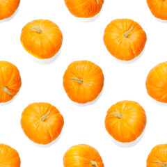 Seamless pattern with pumpkin. Autumn abstract seamless pattern made from Pumpkins on the white background. Pumpkin quality pattern.